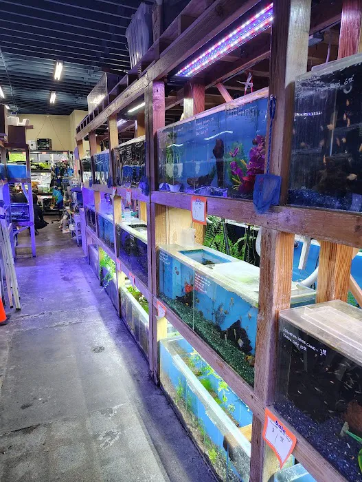 The Fish Store Picture 4