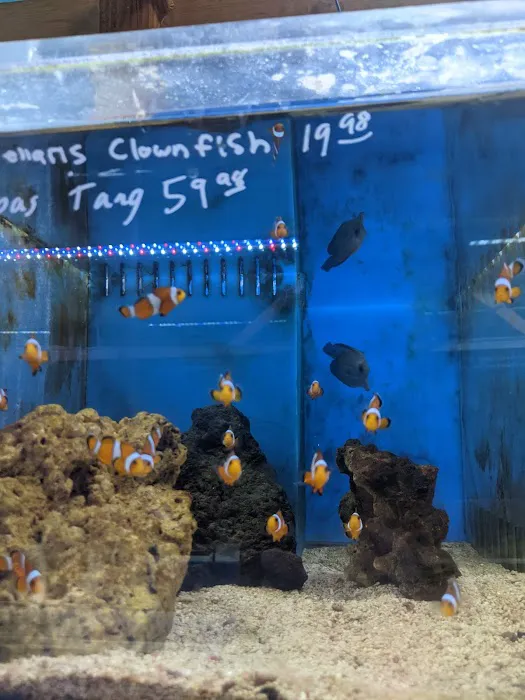 The Fish Store Picture 6