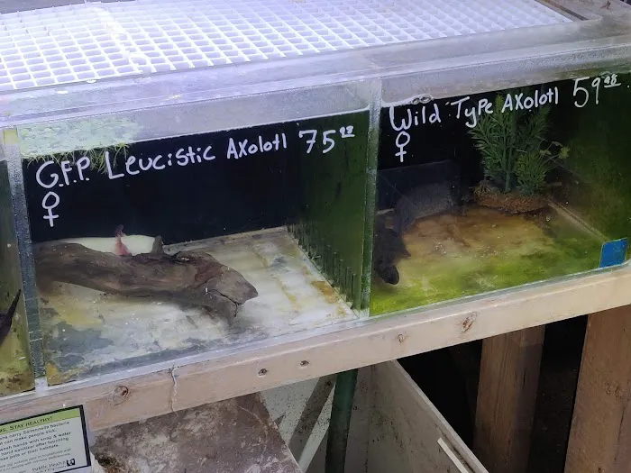 The Fish Store Picture 9