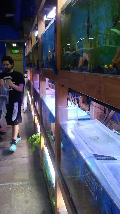 The Fish Store Picture 3