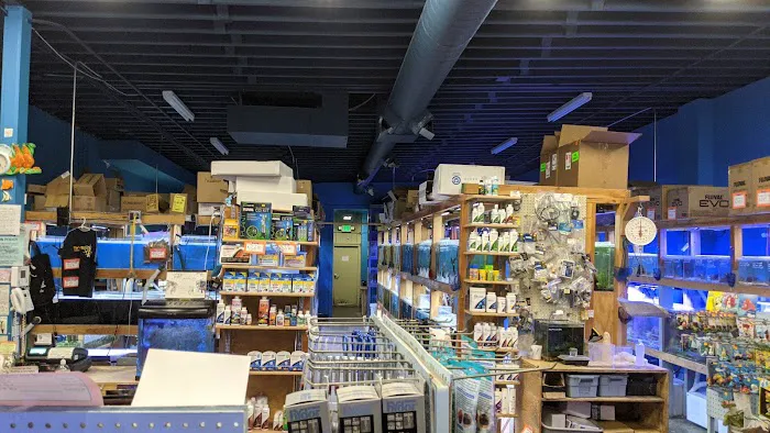 The Fish Store Picture 8
