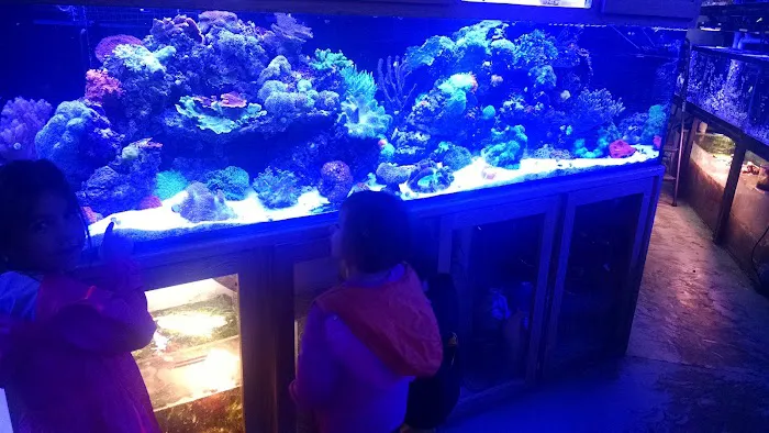 Barrier Reef Aquariums Picture 2