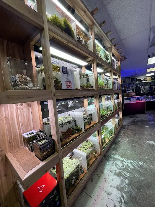 Barrier Reef Aquariums Picture 3