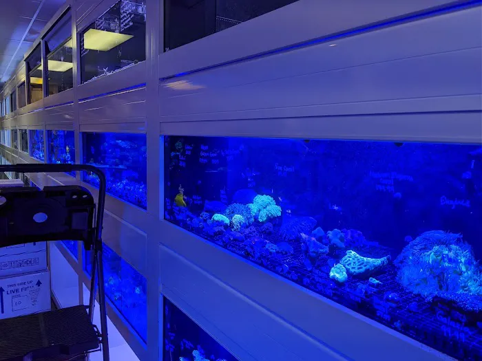 Barrier Reef Aquariums Picture 4