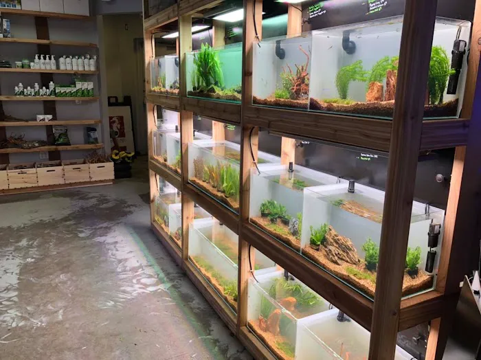 Barrier Reef Aquariums Picture 8