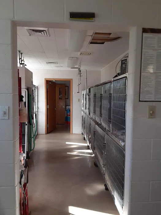 Suburban Animal Clinic Picture 7