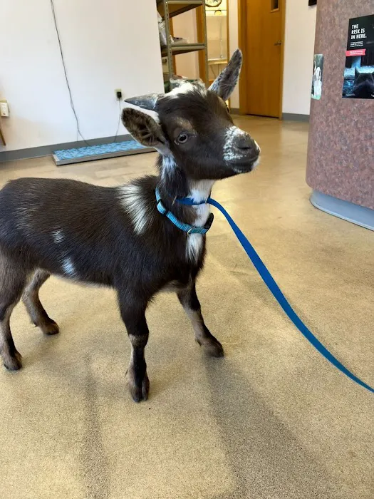 Suburban Animal Clinic Picture 5