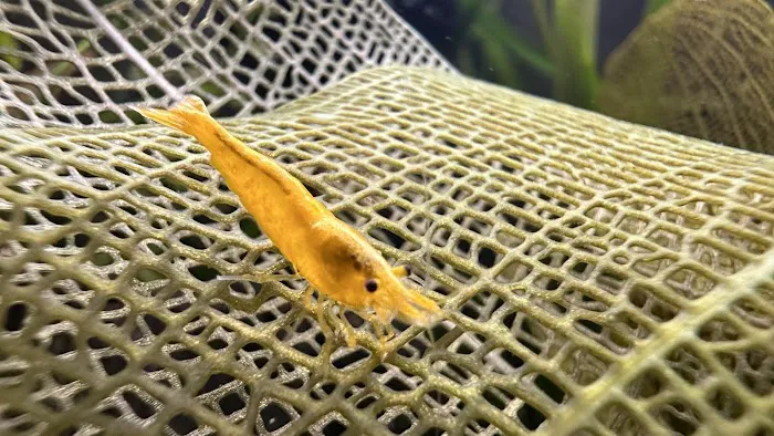 Eurofish Aquatics Picture 7