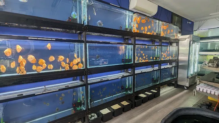 Eurofish Aquatics Picture 9