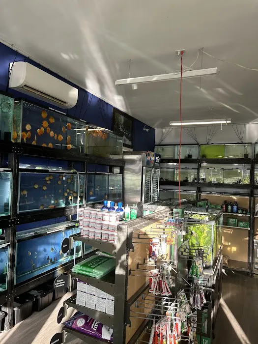 Eurofish Aquatics Picture 2