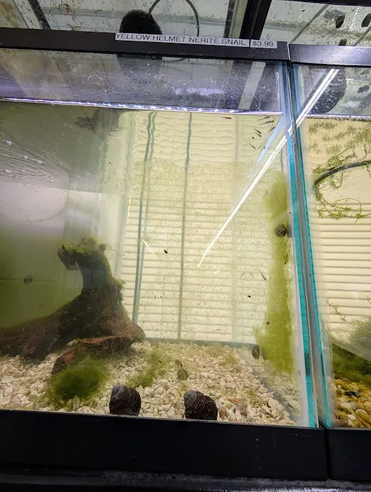 Eurofish Aquatics Picture 6