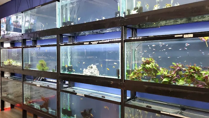 Eurofish Aquatics Picture 10
