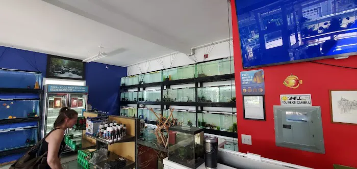 Eurofish Aquatics Picture 1