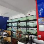 Eurofish Aquatics
