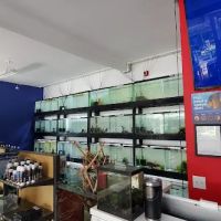 Eurofish Aquatics ico