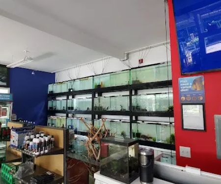 Eurofish Aquatics