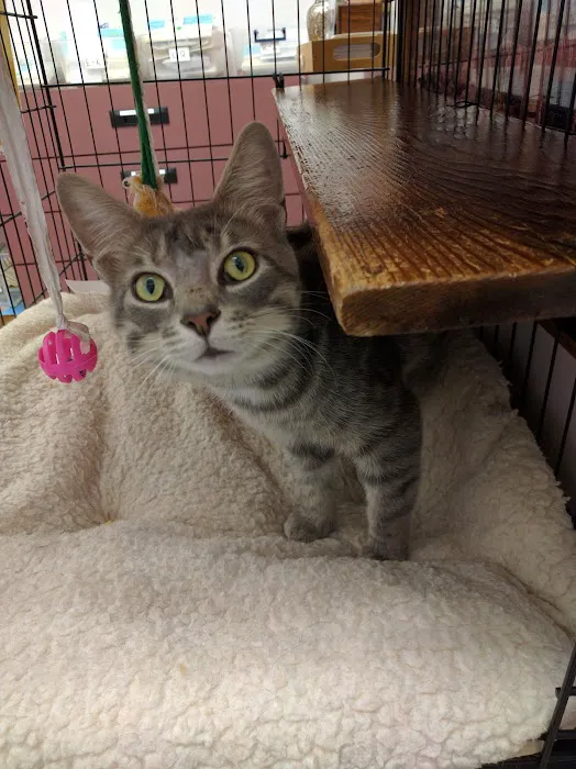 Twinbrook Animal Clinic, Inc. Picture 8