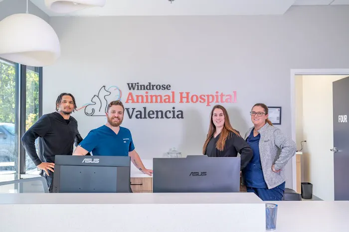 Animal Hospital of Valencia Picture 8