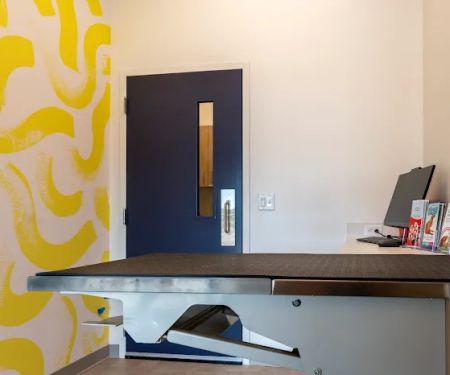 Animal Hospital of Valencia