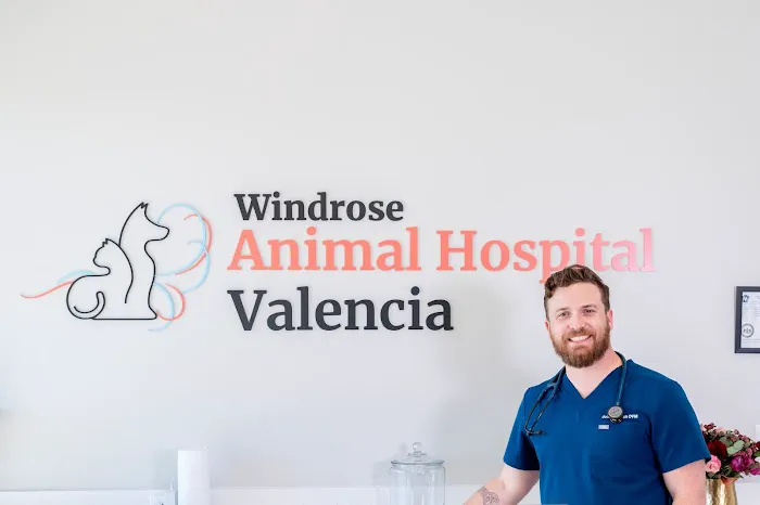 Animal Hospital of Valencia Picture 9