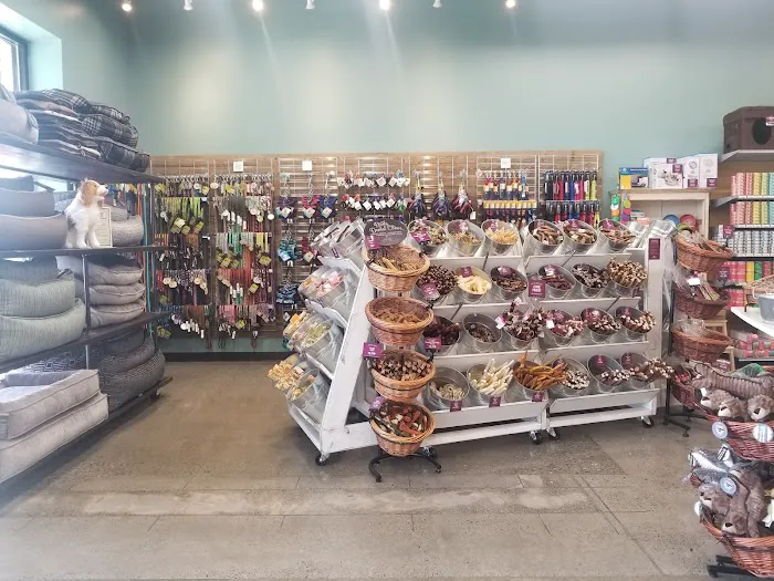 All The Best Pet Care - Burien Picture 4