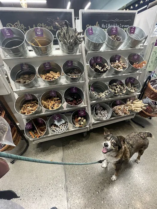 All The Best Pet Care - Burien Picture 9