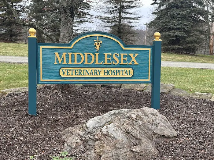 Middlesex Veterinary Hospital Picture 1