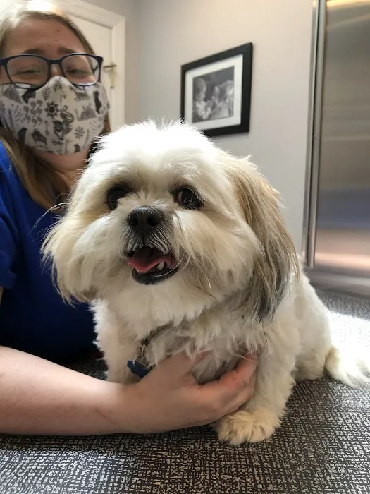 Middlesex Veterinary Hospital Picture 7