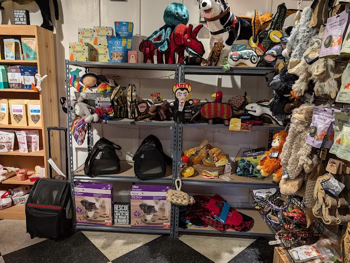 B.I. Barkery Picture 6