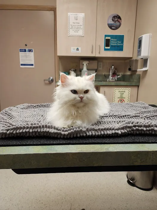 VCA Bakerstown Animal Hospital Picture 4