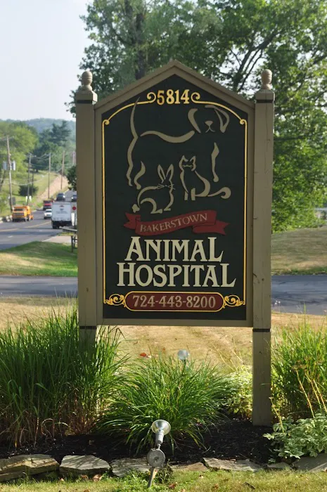 VCA Bakerstown Animal Hospital Picture 6