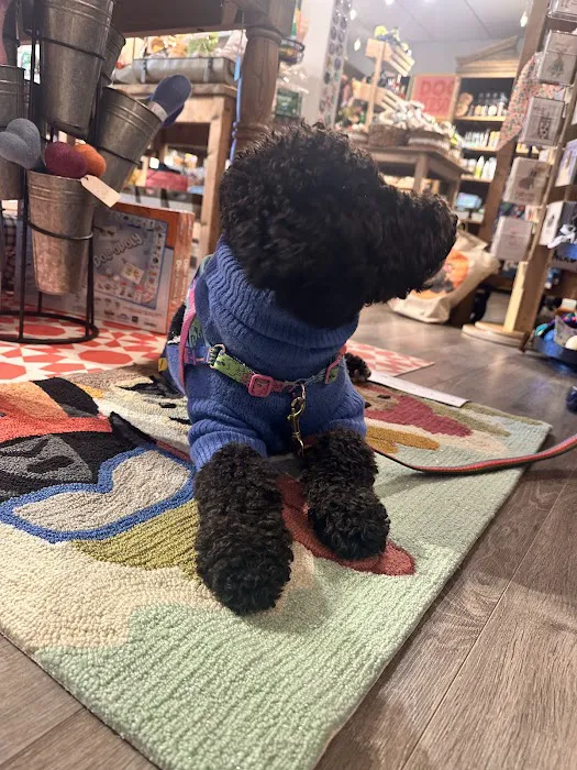 Bainbridge Island Dog Club Picture 2