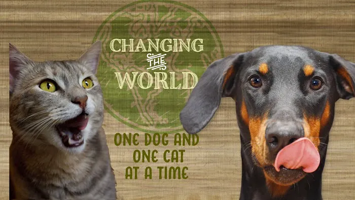 All The Best Pet Care Picture 9