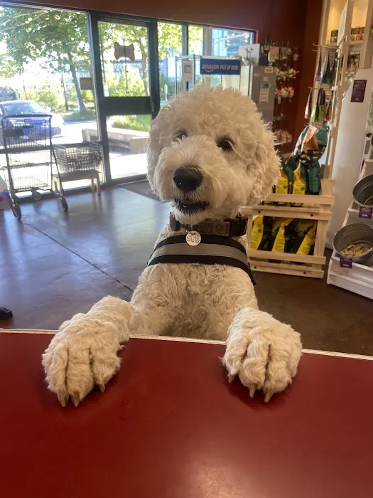 All The Best Pet Care Picture 8