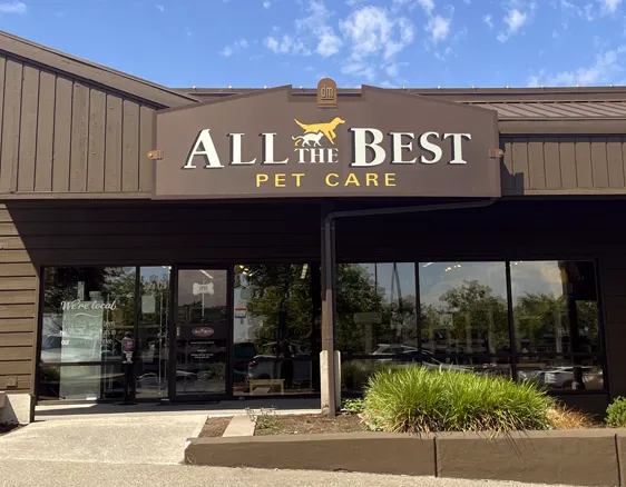 All The Best Pet Care Picture 10