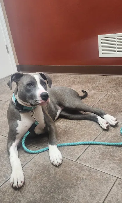 Clarion Animal Hospital Picture 2