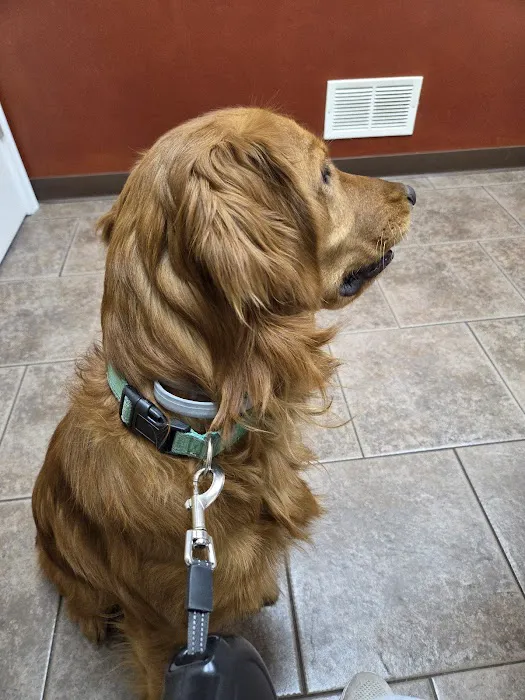 Clarion Animal Hospital Picture 8