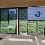Seattle Corals Aquariums
