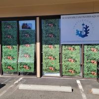Seattle Corals Aquariums ico