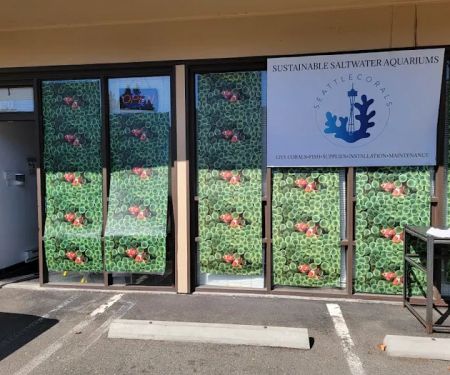 Seattle Corals Aquariums