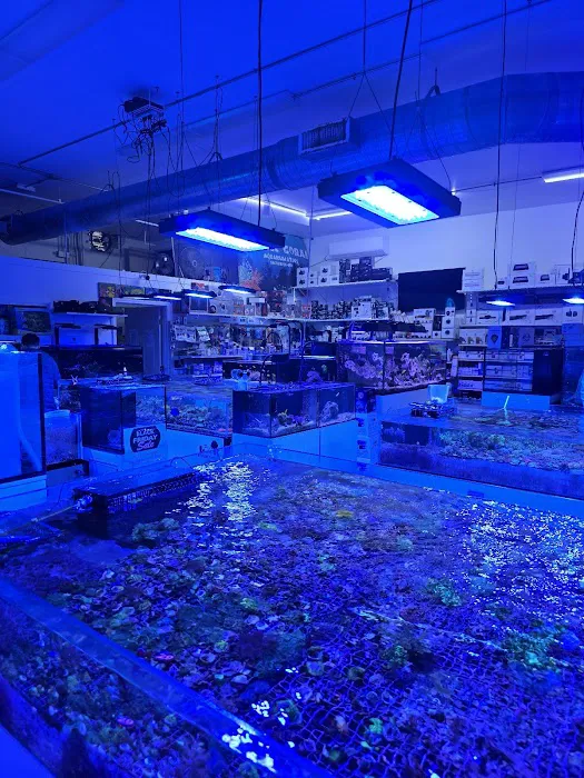 Seattle Corals Aquariums Picture 2