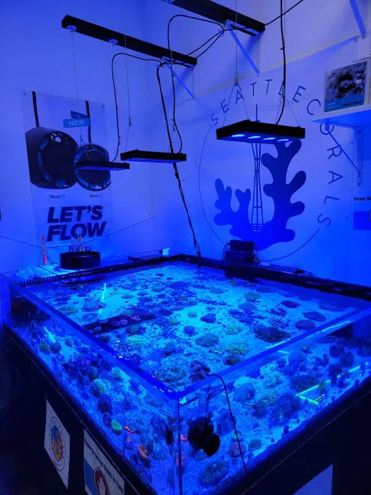 Seattle Corals Aquariums Picture 4