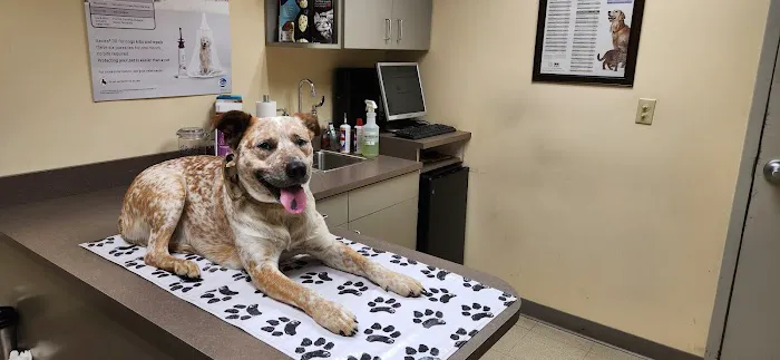 Brookville Veterinary Hospital Picture 4