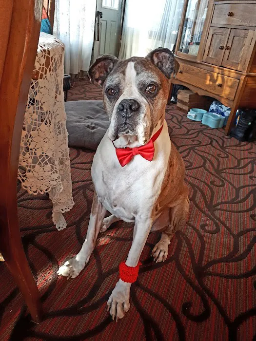 Brookville Veterinary Hospital Picture 1