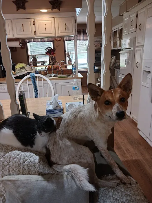 Brookville Veterinary Hospital Picture 5