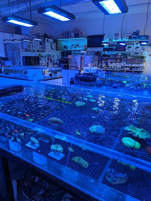 Sea King Aquariums Picture 7
