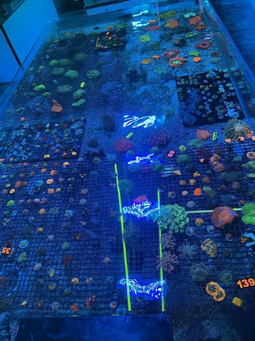 Sea King Aquariums Picture 8