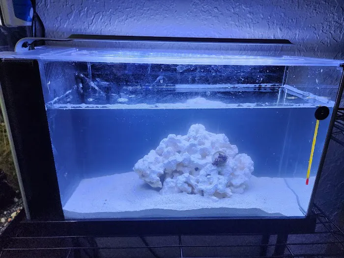 Sea King Aquariums Picture 5