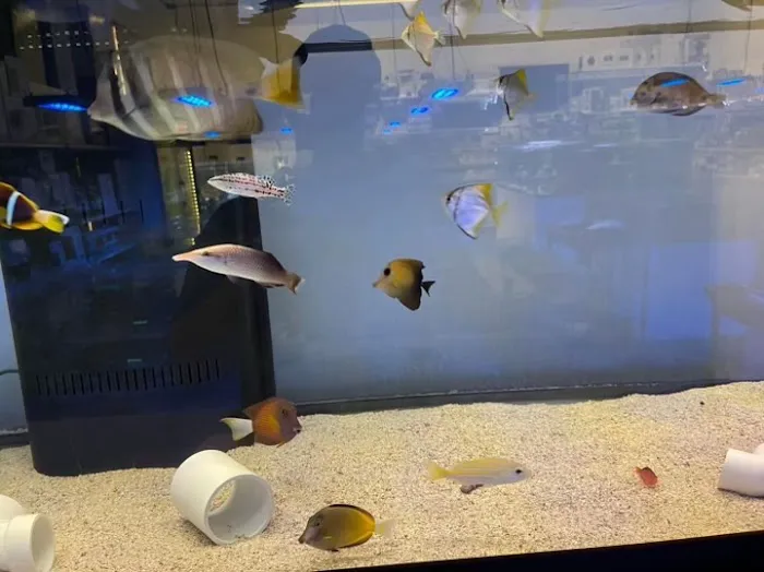 Sea King Aquariums Picture 1