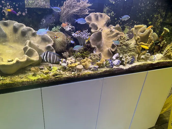Sea King Aquariums Picture 10